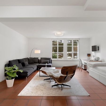 Cozy Boutique Apartment At Mt. Rigi Goldau المظهر الخارجي الصورة