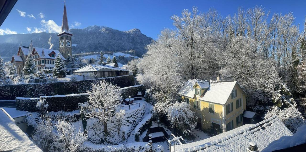 Cozy Boutique Apartment At Mt. Rigi Goldau المظهر الخارجي الصورة