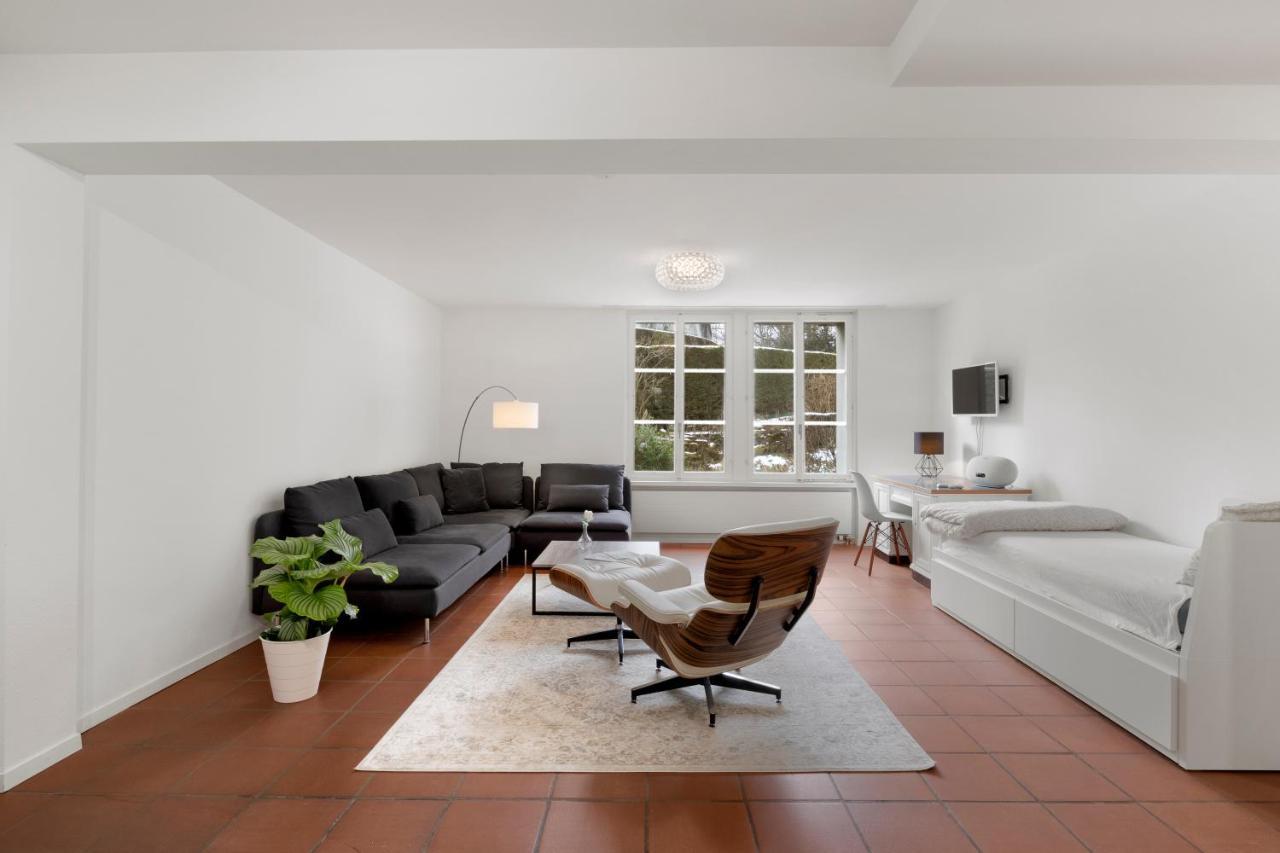 Cozy Boutique Apartment At Mt. Rigi Goldau المظهر الخارجي الصورة